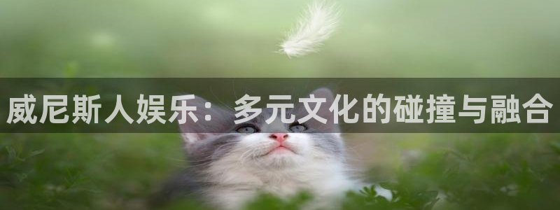 富联娱乐：威尼斯人娱乐：多元文化的碰撞与融合