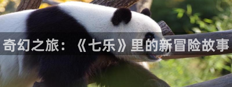 富联娱乐