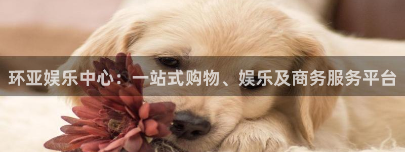 富联娱乐：环亚娱乐中心：一站式购物、娱乐及商务服务平台