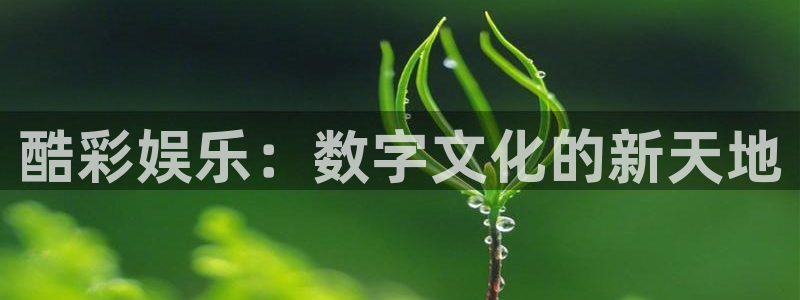 富联娱乐：酷彩娱乐：数字文化的新天地