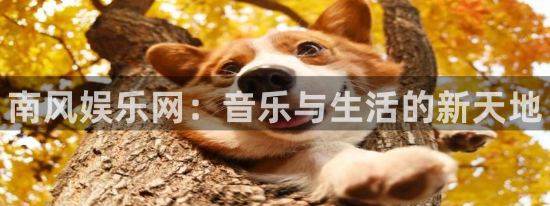 富联娱乐：南风娱乐网：音乐与生活的新天地