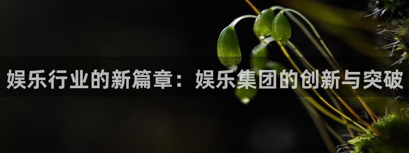 富联娱乐：娱乐行业的新篇章：娱乐集团的创新与突破