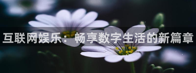富联娱乐：互联网娱乐：畅享数字生活的新篇章