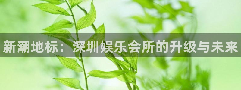 富联娱乐：新潮地标：深圳娱乐会所的升级与未来
